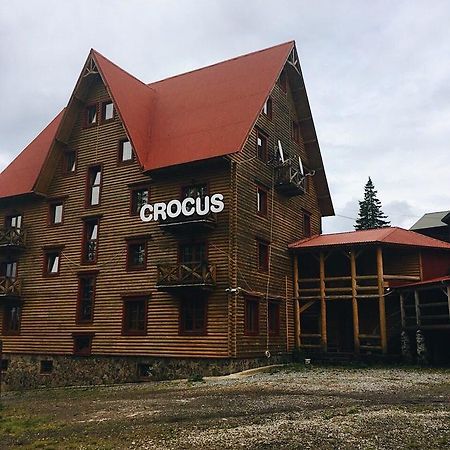 Crocus Dragobrat Exterior foto